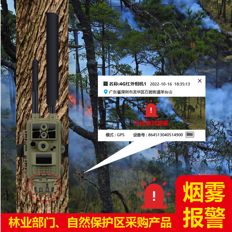 预防森林起火人人有责