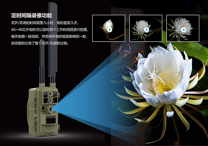 4G+4K红外高清感应相机