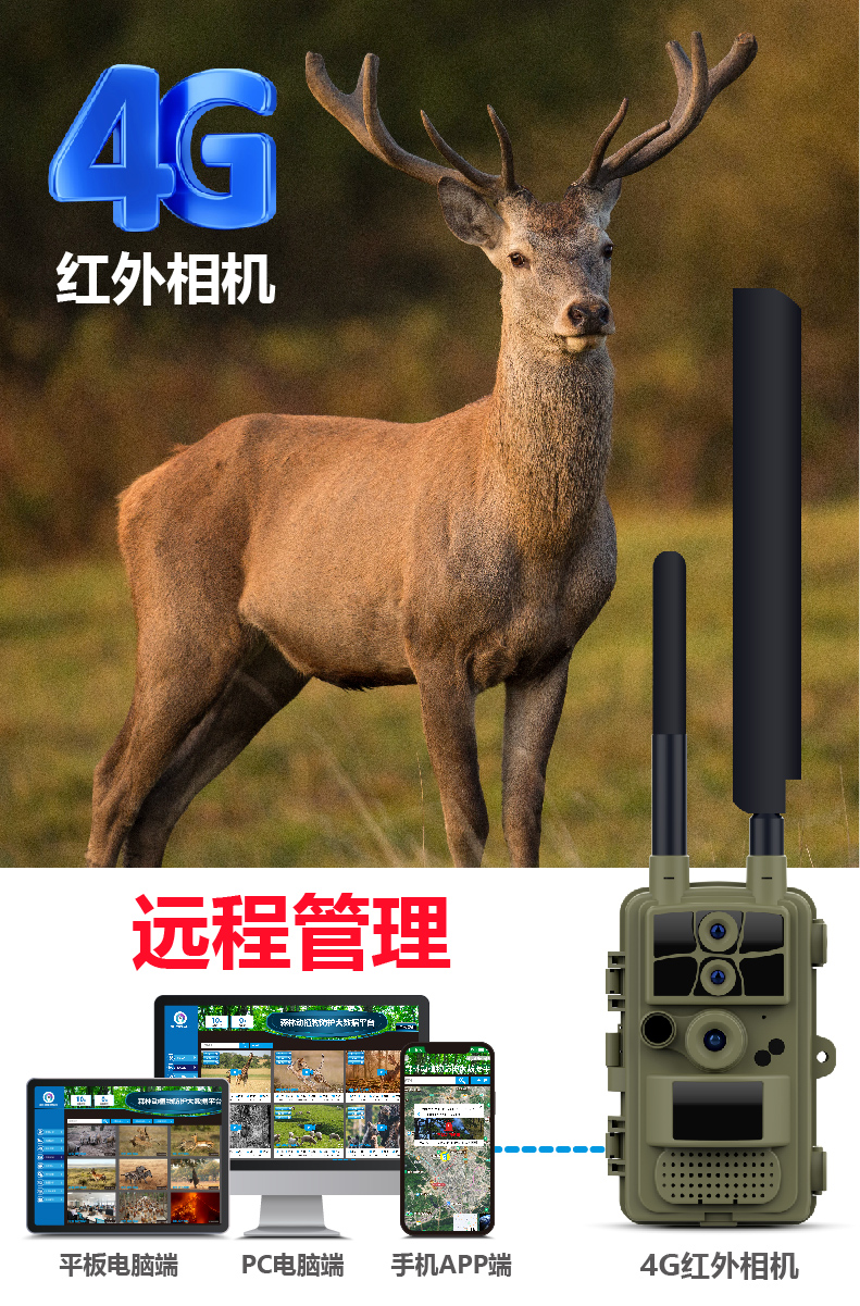 4G红外相机.jpg